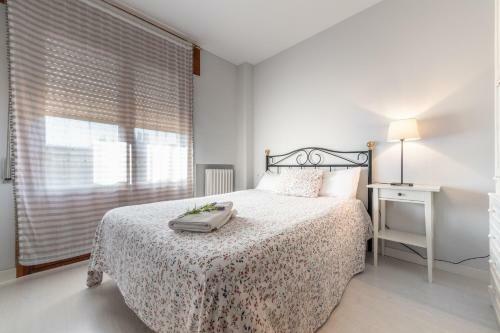 Apartamento Pirineo Aragon�s