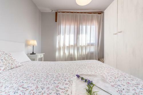 Apartamento Pirineo Aragon�s