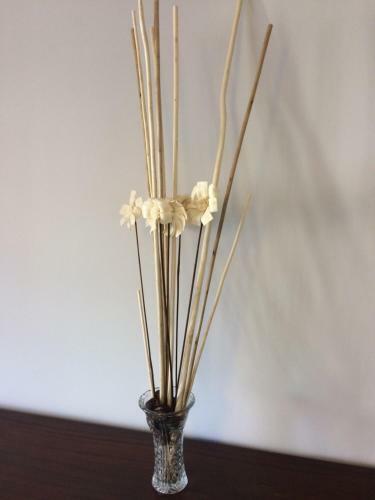 Apartamento Pirineo Aragon�s