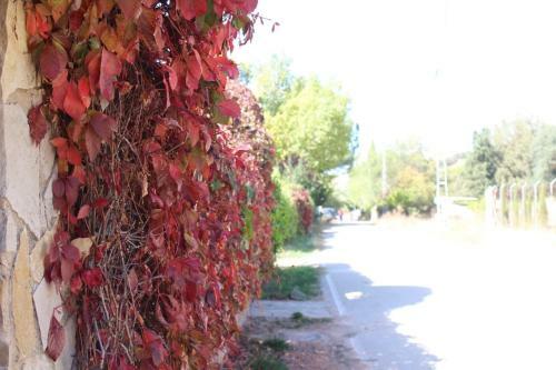 Apartamento La Casita De Gema