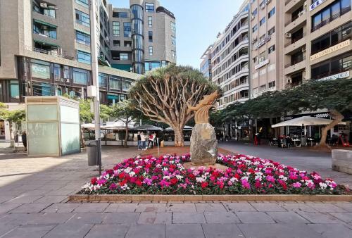 Apartamento Home2book Sea Front Las Teresitas Beach 3