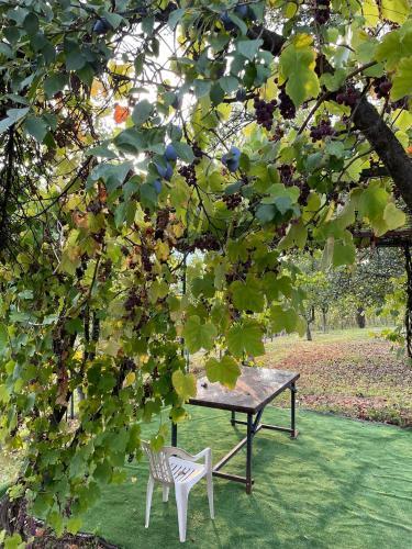 Villa ???? ?????? ???????