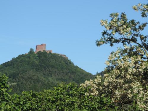 Apartamento Villa Palatina S�w