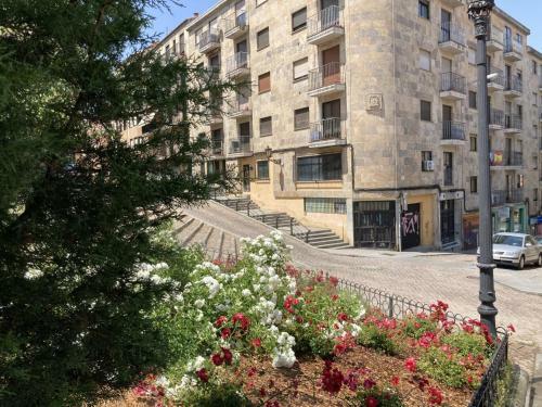 Apartamento Plaza San Cristobal-gran Via