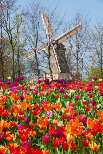 Recreatiecentrum Koningshof