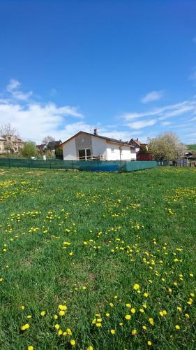 Bungalov Bozkov, Bozkov 307