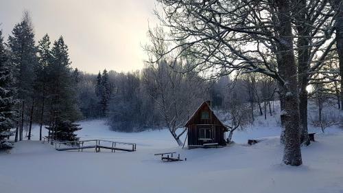Kullipera Holiday House In Haanja