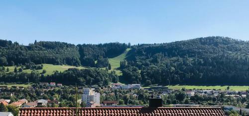 Apartamento Zollern-alb Aktiv