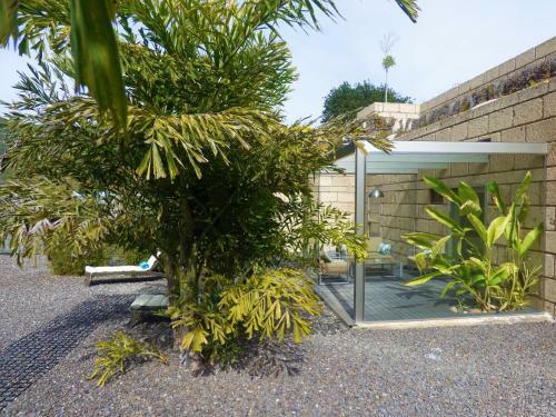Eco Suites Caves