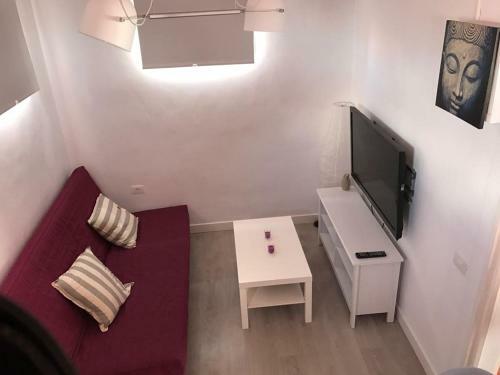 Apartamentos La Concepci�n