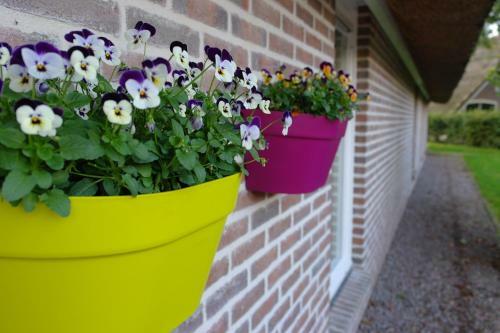 Bed And Breakfast The4seasons