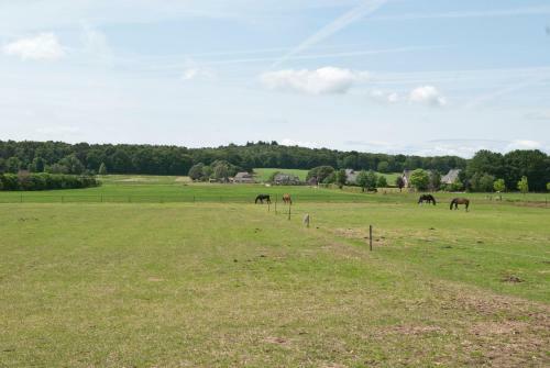 Bed & Breakfast Gastenverblijf De Korenhorst