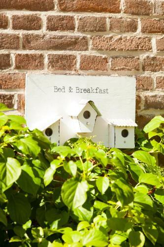 Bed And Breakfast Klein Groenbergen