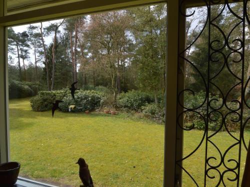 Holiday Home Ruischende Dennen Huybergen