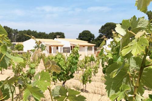 Aptos Rurales Sa Barda - Vi�edos Y Tranquilidad