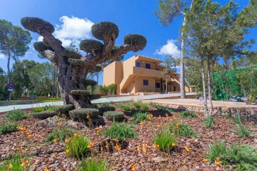 Ses Eufabietes Apartments & Restaurant