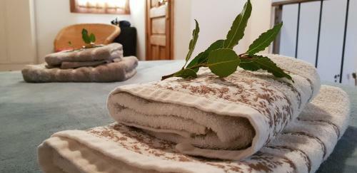 Agroturismo Casa Rural La Jara Blanca