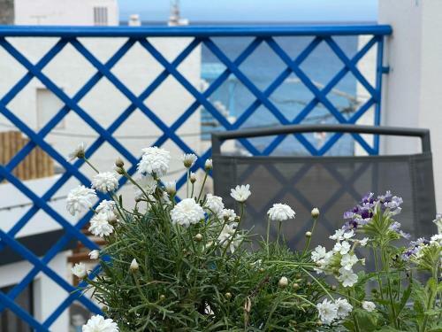 Apartamentos Vela Blanca