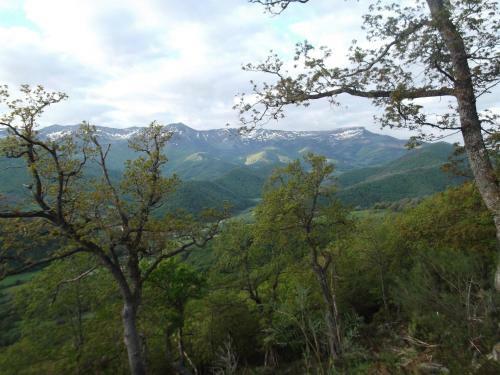 Agroturismo Apartamento San Mam�s
