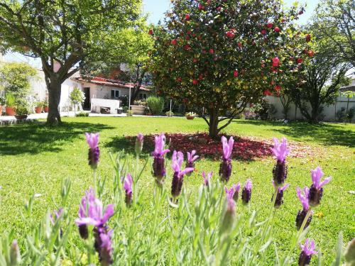 Apartamento A Quinta Das Bolboretas