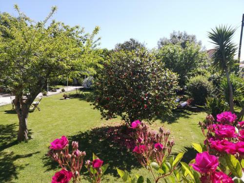 Apartamento A Quinta Das Bolboretas