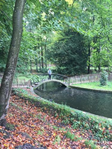 Bed & Breakfast 50's Studio Parc Marie-jos�e