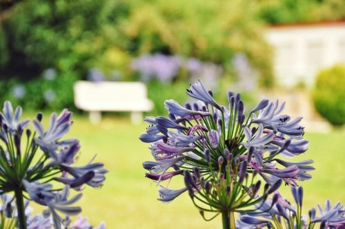 Pazo Revel Hotel & Resort