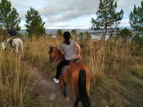 Apartamento Marismas Lanzada