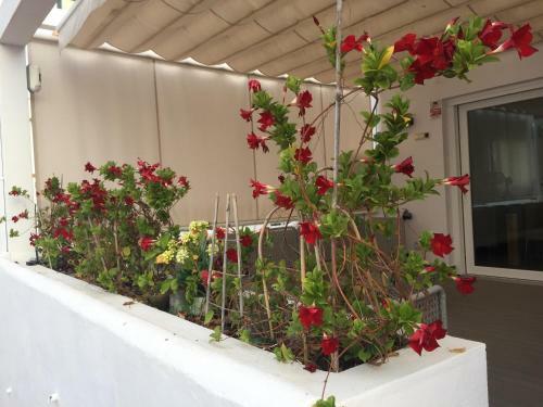 Apartamento Lux Home Marina Casares Beach