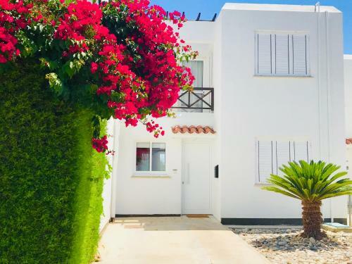 Tonia's Beach Apartment