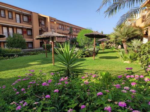 Apartamento Con Gran Terraza A 50 M De La Playa