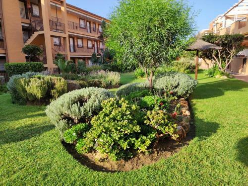 Apartamento Con Gran Terraza A 50 M De La Playa