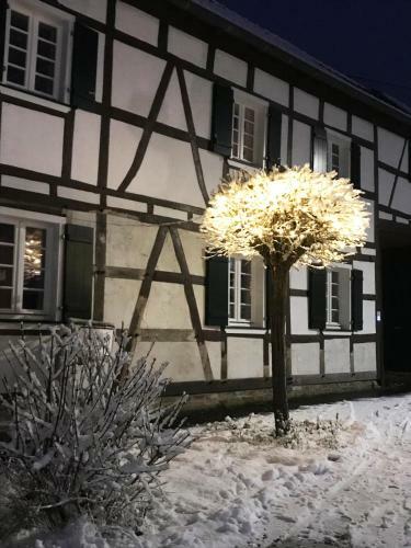 Apartamento Kleine Fachwerkwohnung