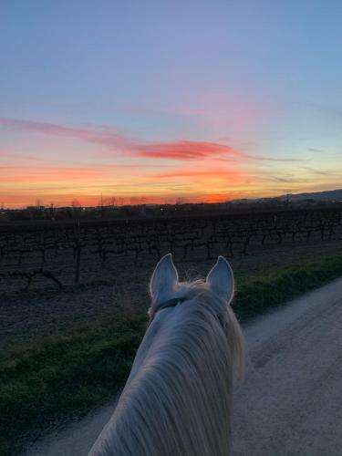 Apartamento Bio Resort Mediterr�neo