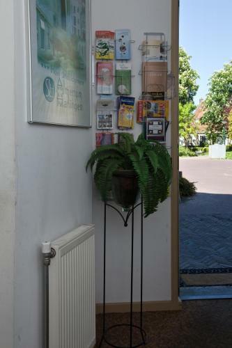Hotel Almenum - Het Sfeervolle Stadslogement -