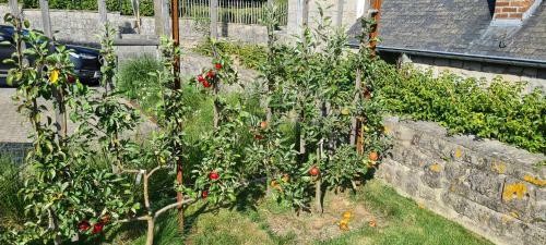 Gite La Petite Beurrerie Des Ardennes