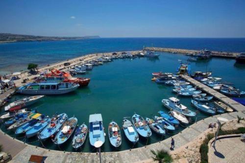 Luxury 3 Bedroom Villa With Private Pool, Paphos Villa 1262