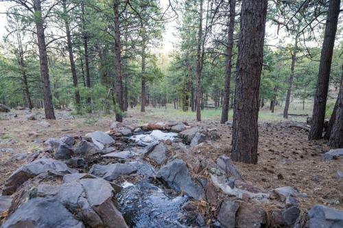Point Of Pines Flagstaff Cabin