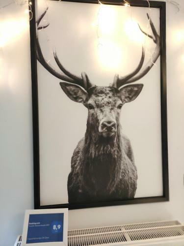 Apartamento T Appartementje Oh Deer