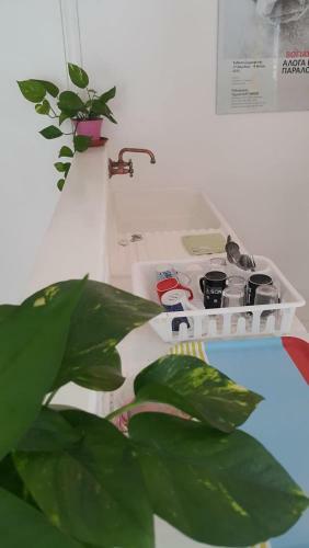 Cozy Downtown Nicosia Apartment