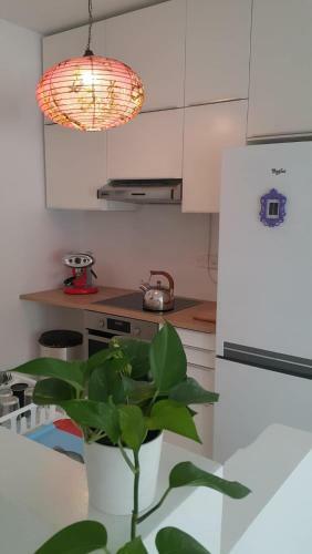 Cozy Downtown Nicosia Apartment