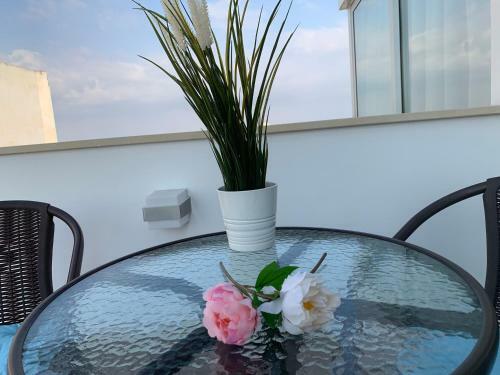 Hostal Nicosia 5 Stars Suites