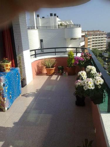 Apartamento �tico Louis Braille