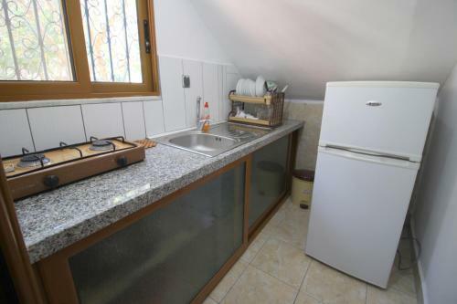 Apartamento Vila Agushi