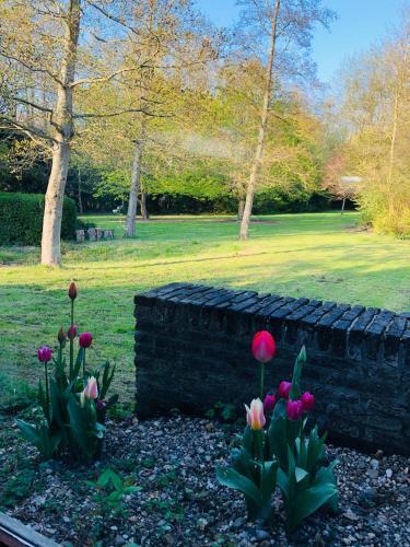 Bed & Breakfast Landhuis Sere