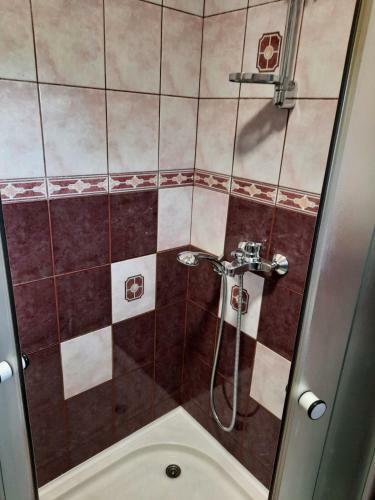 Apartmani Arsic