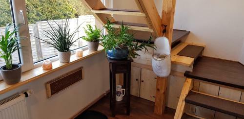 Hostal Ferienunterkunft Malu-sol