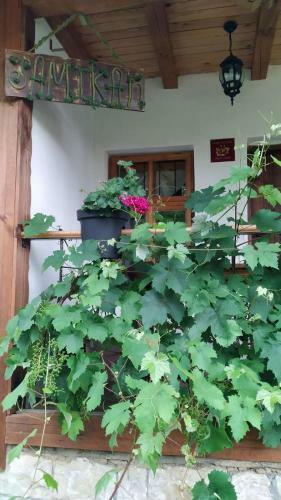 Villa Boutique Guest House "samikan"