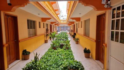 Apartamento Hotel Isla Esmeralda