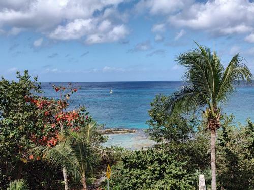 Apartamento Oceanfront Condo - Cozumel - Incredible Sunsets #11